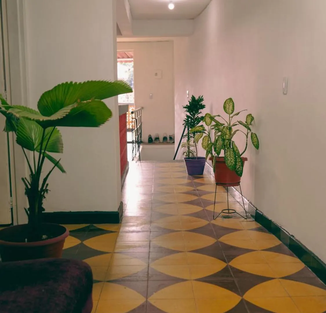 Turpial Inn Cali Homestay